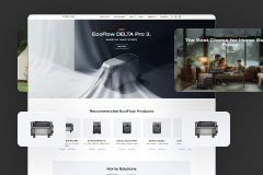 ecommerce-renowned-battery-manufacturer-1718282731-ecoflow.jpg
