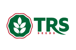 trs-seedslive-1559545308trs.jpg