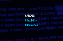 arobs-a-dedicated-partner-1566478175arobs.com-slider-testimonial-temp.png