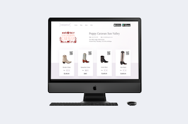 mobile-pos-amp-shopify-integration-1656594062-qru-i478-solution-copy.jpg