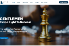 cgull-website-design-and-development-1748338480-cgull.png