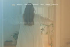 ginni-realty-website-development-1748355588-untitled-design-3-thumb.jpg