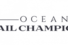 custom-wordpress-website-for-nail-art-championship-event-1752587148-ocean.png