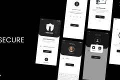 e-secure-1735195376-esecure.jpg